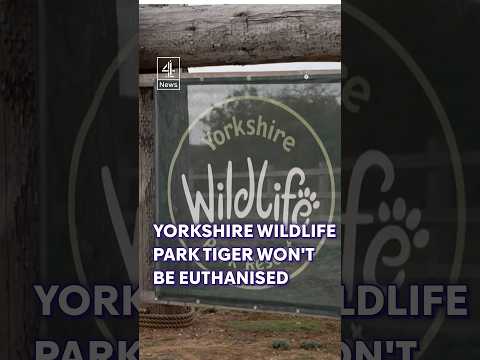 Yorkshire Wildlife Park tiger will not be euthanised after man’s death