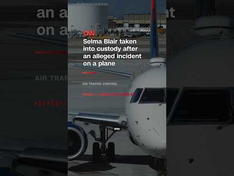 Selma Blair taken into custody after an alleged incident on a plane