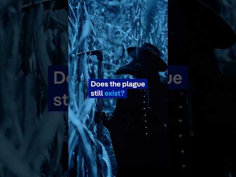 Does the plague still exist? | DW News