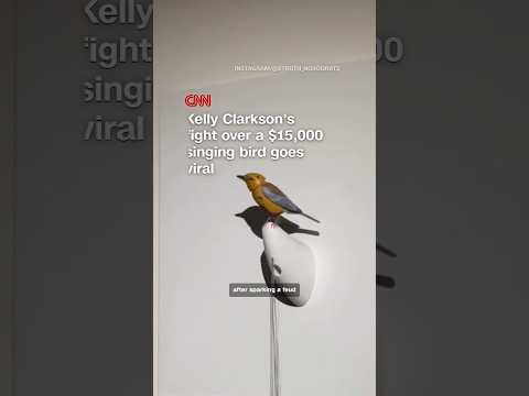 Kelly Clarkson’s fight over a $15,000 singing bird goes viral