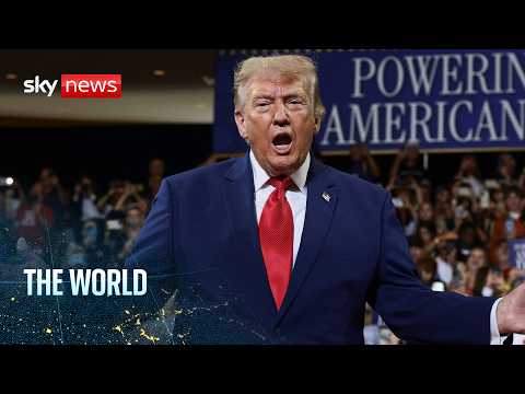 Trump’s agenda on the line as US midterms draw near | The World