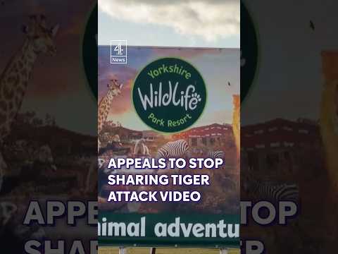 Appeals to stop sharing tiger attack video #UK #Tiger