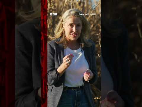 What are Iowa voters thinking ahead of the midterms?
