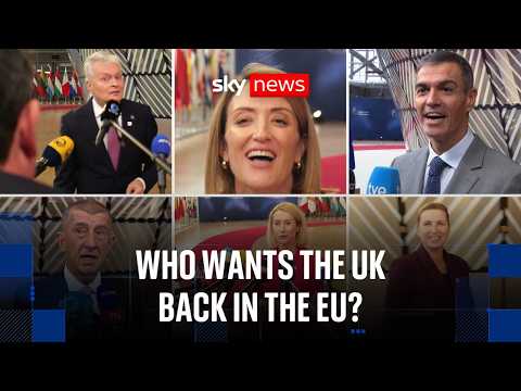 We asked European ministers whether Britain should rejoin the EU… this is what they said
