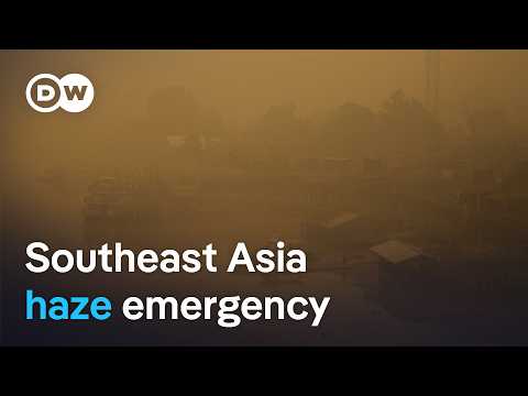 Why Indonesia’s forest fires are so bad this year | DW News