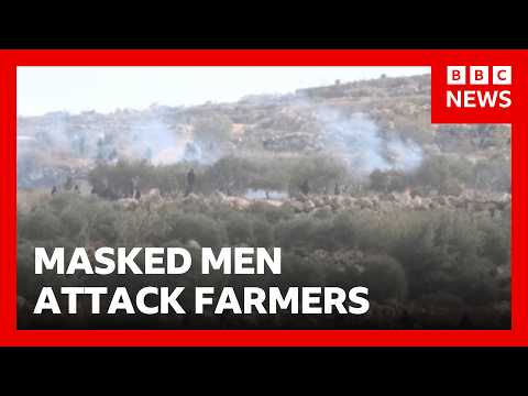 Jewish settlers attack Palestinian olive farmers in West Bank | BBC News