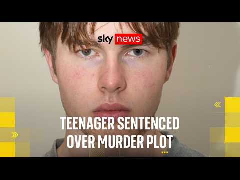 Norwegian teenage hitman who flew to UK to commit murder jailed