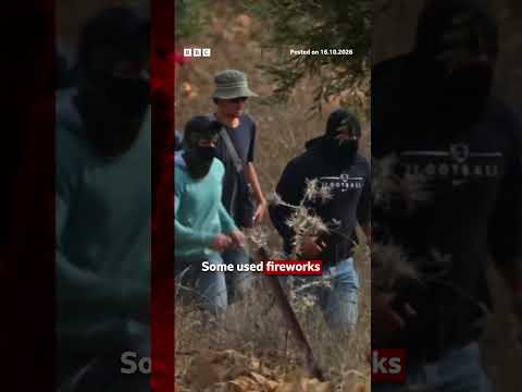 Israeli settlers attack Palestinians harvesting olives in West Bank. #BBCNews
