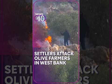 Masked Israeli settlers set fire to olive trees and attack Palestinians in occupied West Bank