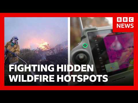 How can technology find fires hidden beneath the forest floor? | BBC News