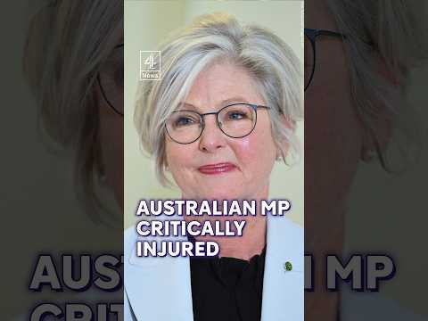 Australian MP hit by car in ‘attack’ – PM says