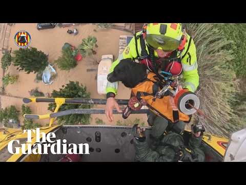 People and pets rescued by helicopter from floods in Spain