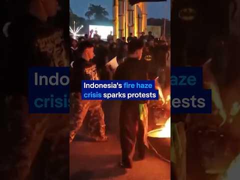 Students clash with police over Indonesia’s haze crisis | DW News