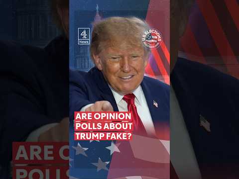 Trump claims some election polls are fake – is that true?