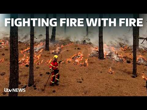 Inside the Spanish wildfire training that could change how Britain battles extreme fires