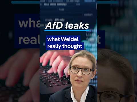 3 things we’ve learned from the AfD leaks | DW News