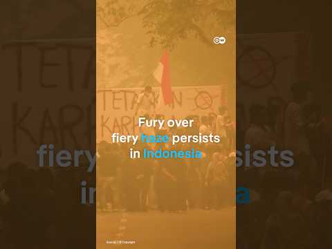Indonesia’s toxic haze sparks protests | DW News