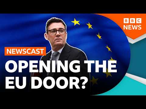 Is the UK trying to renegotiate Brexit? | BBC News
