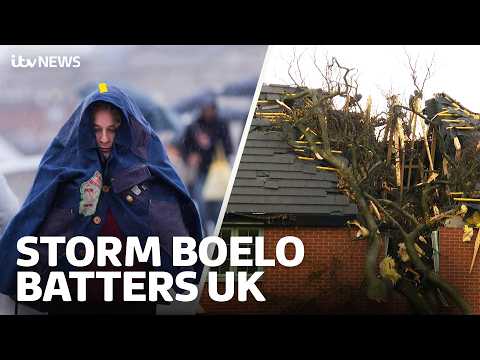 Man killed by falling tree as Storm Boelo continues to batter UK