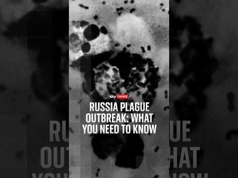 Russia plague outbreak: what you need to know