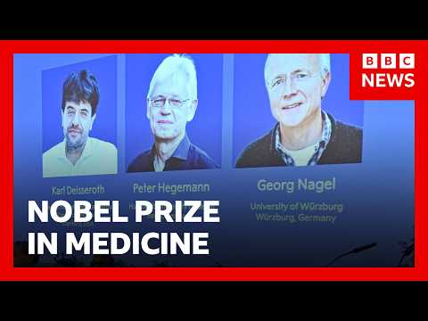Nobel Prize awarded for revealing inner workings of the brain | BBC News