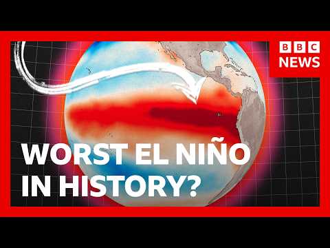 How one of the strongest El Niños became a global disaster | BBC News