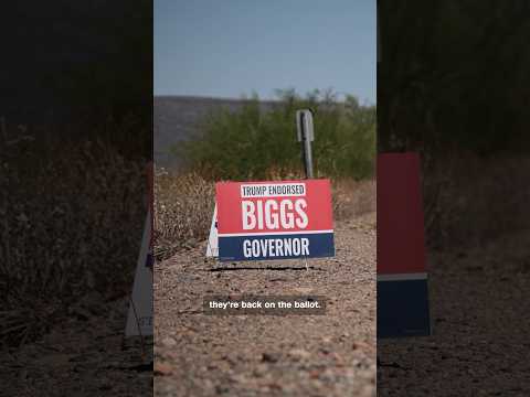 Arizona election deniers running for office