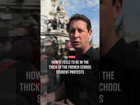 How it feels to be in the thick of the French school student protests
