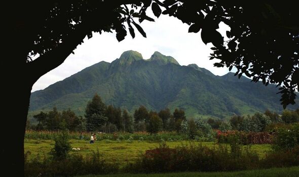 Africa’s cleanest country where tourists have suitcases searched for plastic bags