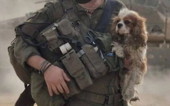 Moment 3-year-old dog abducted by Hamas is returned to murdered hostage’s family