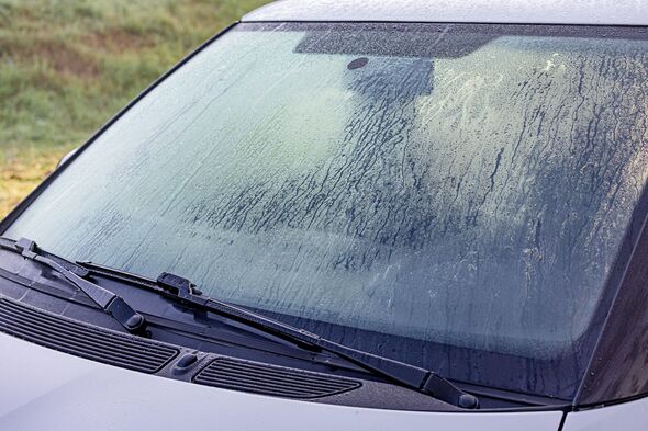 Leave 1 item in your car overnight to banish condensation from windows