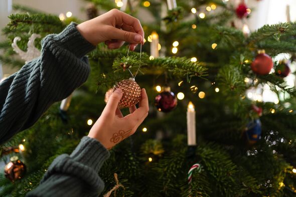 UK supermarkets to snap up best value for money Christmas trees this year
