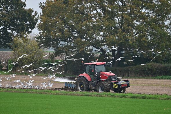 Gangs in balaclavas now target UK farms in terrifying crime spree rocking rural villages
