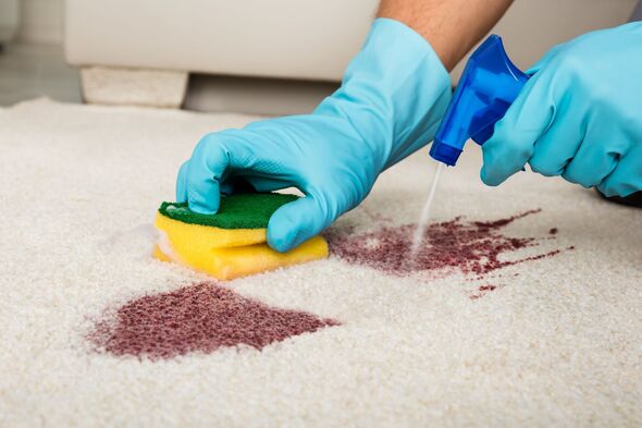 Stop using carpet cleaner when 1 cheaper item removes any stains better in just 5 minutes