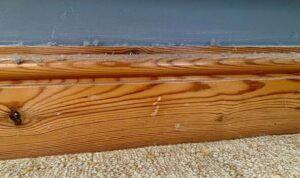 I cleaned my skirting boards with 1 household item and the dust stayed away for 3 weeks