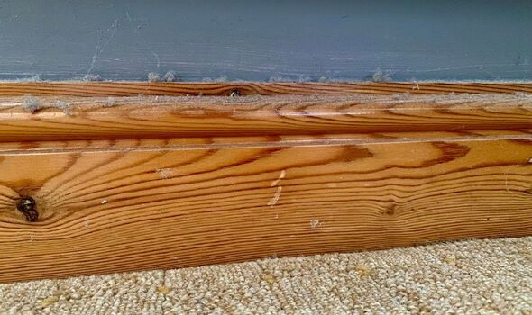 I cleaned my skirting boards with 1 household item and the dust stayed away for 3 weeks