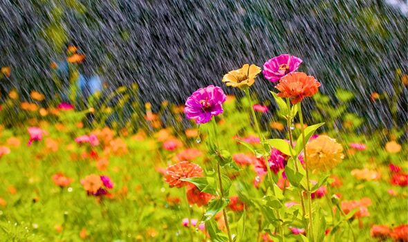 Monty Don urges gardeners to do 3 jobs in March to help gardens burst into bloom