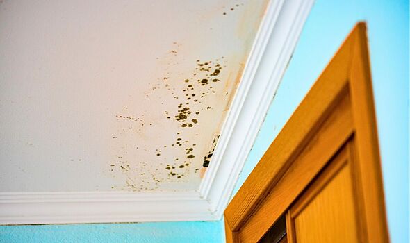 Mould will stop creeping into bedrooms in autumn if you have 1 natural item in the home