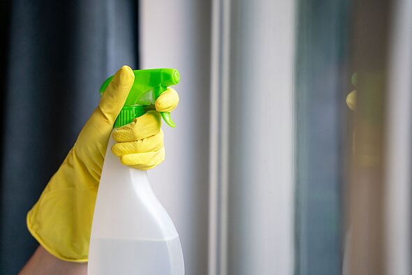 Spiders will never enter your home when you spray 2-ingredient mix they absolutely ‘hate’