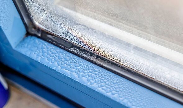 Windows will stay drier if you ditch dehumidifiers for simple 5-minute task expert loves