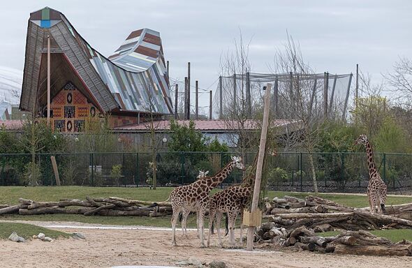 Major UK zoo closed on Friday ‘to keep everyone safe’ as statement issued